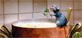 Computer-Animated Disney Cartoon, "Ratatouille" - disney photo