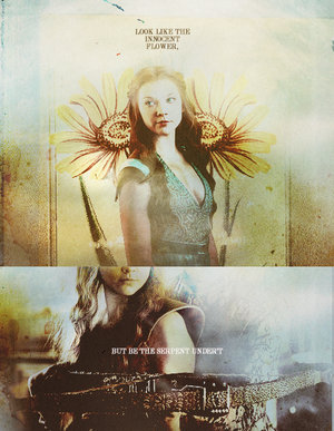  Margaery Tyrell