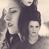 Twilight Series Icon