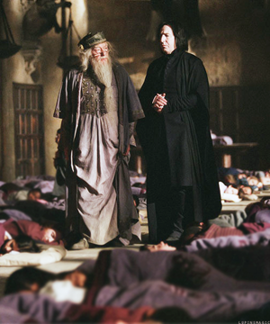  Dumbledore and Snape