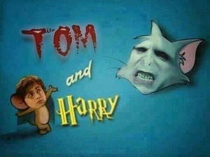  Tom and Jerry/ Harry Potter crossover