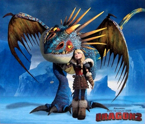  How To Train Your Dragon 2 Astrid and Stormfly Puzzle