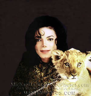  Michael With And A Lion Cub