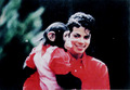 MJ and Bubbles - michael-jackson photo