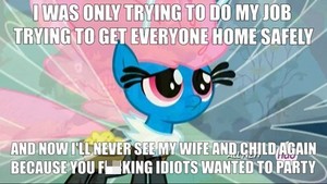  My Little pony Memes