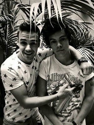  Harry and Liam✌✌