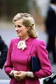 Lady Diana  - princess-diana photo