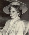 Princess Diana - princess-diana photo