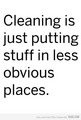 The truth about cleaning - random photo