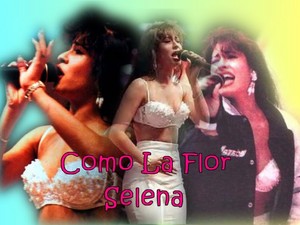 Selena Quintanilla-Pérez (April 16, 1971 – March 31, 1995