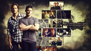 The Winchester Brothers wallpaper