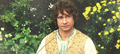 Bilbo Baggins - the-hobbit photo