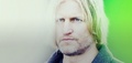 Haymitch Abernathy - the-hunger-games photo