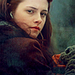 Twilight Saga - twilight-series icon