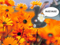 buzz or was it buss - flowers fan art