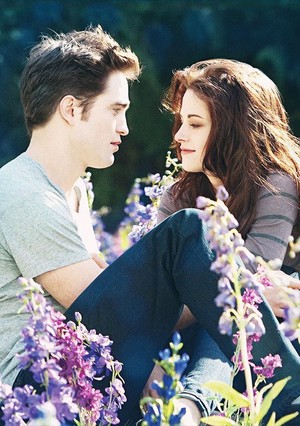  Bella 表示中 Edward their past