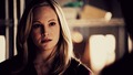 ”He also said you have a thing for accents.” - klaus-and-caroline photo