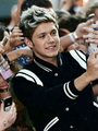                               Niall - one-direction photo