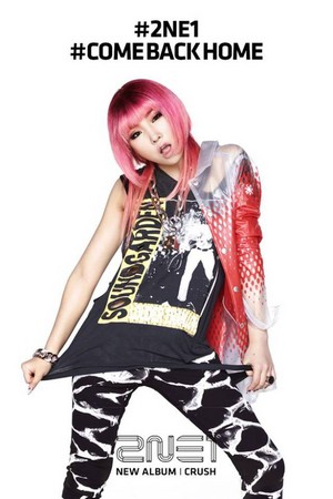 Official Photos of 2NE1′s ‘CRUSH’ Album; Pink Edition