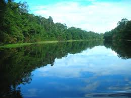 Amazonas's river 2