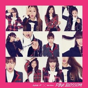  Apink Cover