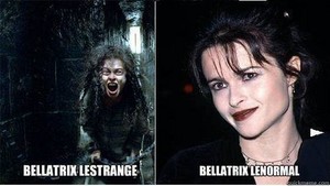  Bellatrix Lestrange♥