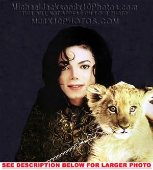  Michael Jackson With A Lion Cub