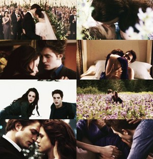  Edward and Bella (Twilight-BD part 2)