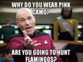 Flamingo hunting - random photo