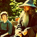 Gandalf and Frodo - gandalf icon