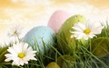 happy-easter-all-my-fans - Happy Easter wallpaper