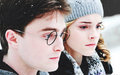 Harry and Hermione    - harry-potter photo