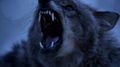 Malia Screencaps - teen-wolf photo