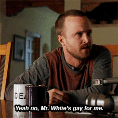  Mr. White's Gay for me!