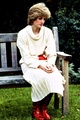 Princess Diana - princess-diana photo