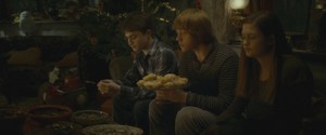  Ron Harry and Ginny