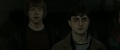 Ron and Harry  - harry-potter photo