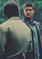 Sam and Dean             - supernatural photo