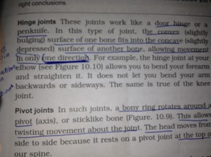 Some 1D related imej in my textbooks ღ