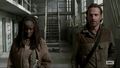 The Walking Dead 3x16 {HD} - the-walking-dead photo