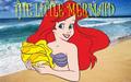 The little mermaid - the-little-mermaid fan art