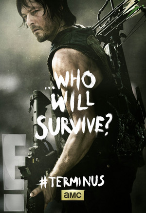  Who Will Survive? ~ Daryl Dixon Poster