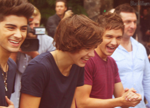  Zayn, Harry and Liam