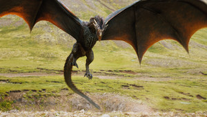 dany's dragon