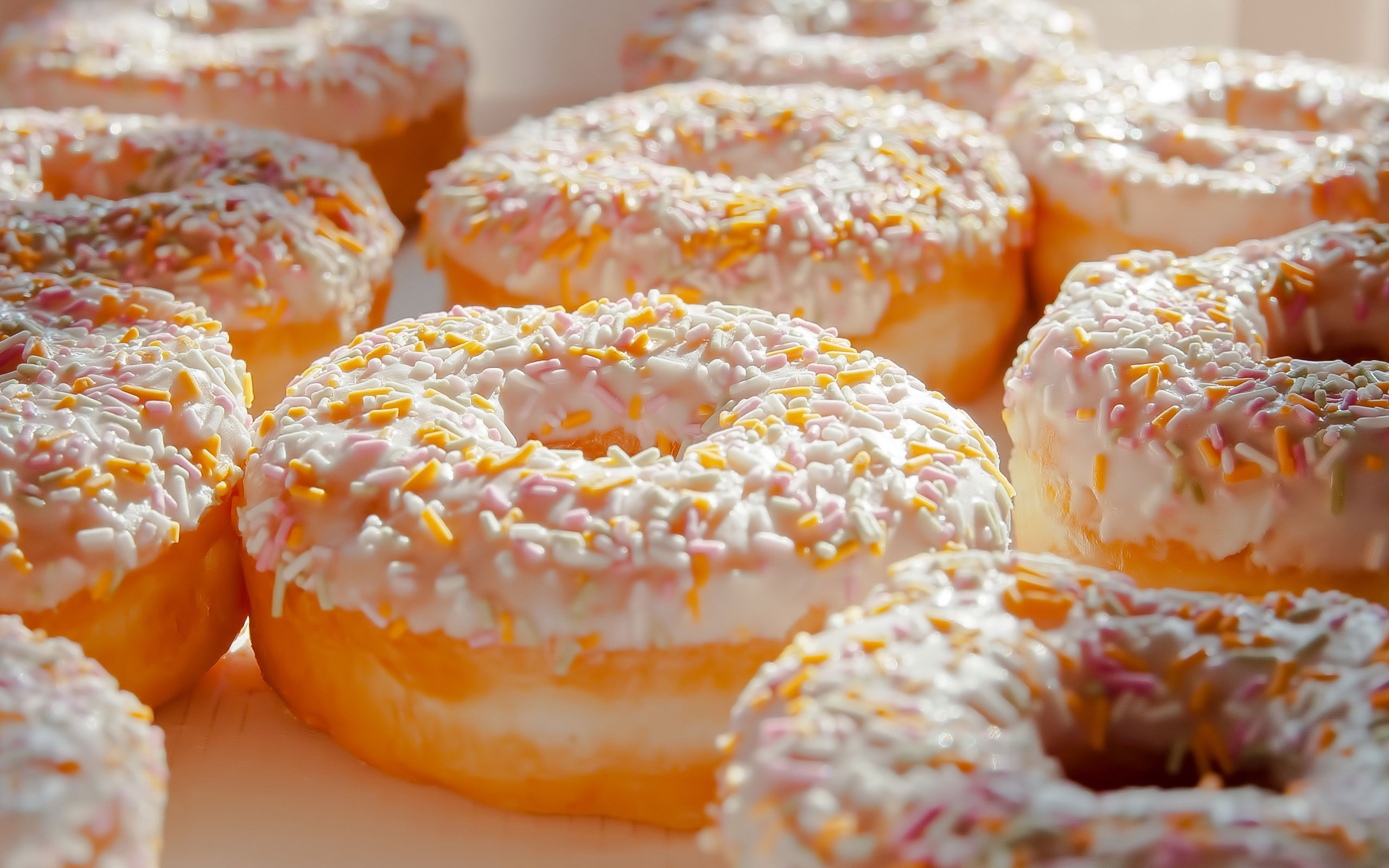 donut------------------- - Donuts Photo (36899298) - Fanpop