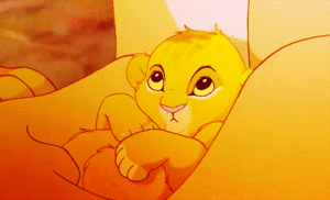 Newborn Simba from The Lion King