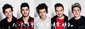 one direction Tour 2014 - one-direction photo