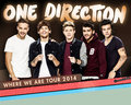 one direction Tour 2014 - one-direction photo