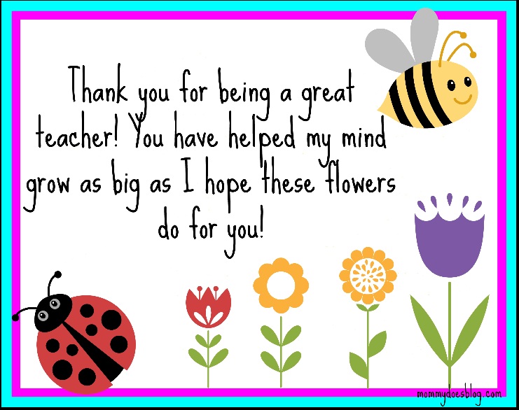 thank-you-teacher-quotes-from-students-quotesgram