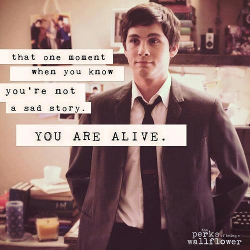 http://images6.fanpop.com/image/photos/36900000/-Charlie-the-perks-of-being-a-wallflower-36976629-500-500.jpg